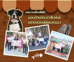 มอบป้ายประชาสัมพันธ์เขตปลอดสุนัขและแมวในพื้นที่สำคัญ