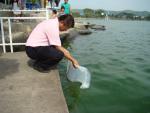 กิจกรรมปล่อยปลาลงหนองตะเคียน