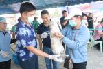 โครงการป้องกันโรคพิษสุนัขบ้าในชุมชน โรงเรียนและวัด เทศบาลเมื