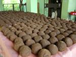 กิจกรรมคืนน้ำใสให้หนองตะเคียน