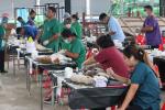 โครงการป้องกันโรคพิษสุนัขบ้าในชุมชนโรงเรียนและวัด ณ ศูนย์ซ่อ