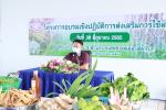 โครงการอบรมเชิงปฏิบัติการส่งเสริมการใข้สมุนไพร