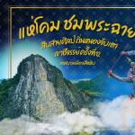 เทศกาล แห่โคม ชมพระฉาย สืบสายศิลป์ ถิ่นหนองจับเต่า เขาชีจรรย